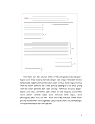 Penempatan bagian per bagian surat hampir sama dengan surat bentuk lurus, hanya saja terdapat perbedaan pada bagian salam pembuka, isi surat, dan salam penutup yang diawali dengan agak. Bagian Dan Fungsi Surat