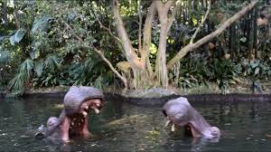 It takes you on a guided tour of the world's most remote rivers located in asia, africa and south america. Jungle Cruise Pov 2018 Disneyland Park Disneyland Resort Youtube