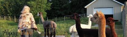 Alpagadore Alpacadore Pagina Inicial Facebook