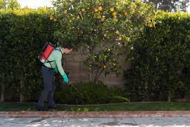 We are continuously keeping abreast of industry advances to provide the best extermination services for our customers. The Best Pest Control Companies In Kansas City Mo 2021 This Old House