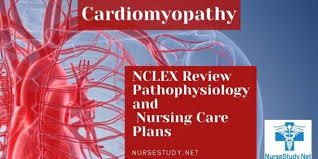 Decreased cardiac output related to impaired cardiac contractility secondary to myocarditis, as evidenced by irregular heartbeat or arrhythmia, heart rate. Cardiomyopathy Nursing Diagnosis Interventions And Care Plans Nursestudy Net