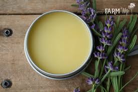 Look on the rhs website for other garden related activities. 10 Things To Make With Lavender