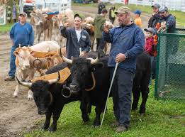 30K+ Come Out for World's Fair