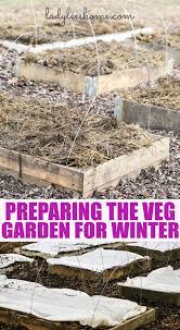 How To Prepare The Vegetable Garden For Winter Veg Garden Food Garden Vegetable Garden