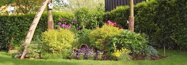 Les plantes vivaces sont des végétaux très appréciés et idéaux pour embellir durablement un jardin ou un massif. 15 Points Cles Pour Reussir Un Nouveau Massif Gamm Vert