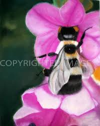 8 X 10 Glossy Print Of Original Pastel Art By By Nancyannphotos 25 00 Original Pastel Glossy Print Pastel Art