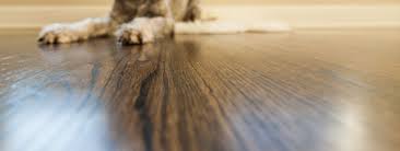 Pour nettoyer ce type de parquet, il suffit d'utiliser une serpillère mouillée avec de l'eau chaude. Comment Poser Du Parquet Stratifie L Artisan Du Plancher