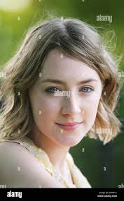 Burlington hotel dublin hi-res stock photography and images