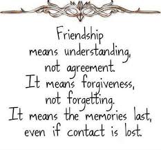 Friendship Means Understanding Quotes