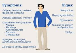 Pin On Adrenal Fatigue