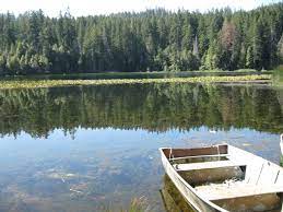 Check spelling or type a new query. Six Rivers National Forest Fish Lake Campground