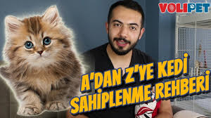Her evcil hayvan sahipleri gibi kedi sahipleri de hayatının bir parçası olarak gördükleri kedilerini koşulsuz severler. Ev Ortaminda Kedi Hayvan Kokusu Nasil Giderilir Evcil Hayvan Kokusu Youtube