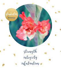 Gladiolus Meaning And Symbolism Ftd Com Flower Meanings Gladiolus Flower Meaning Gladiolus