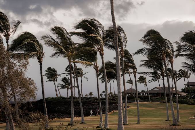 Hurricane Lala strengthens into Category 1 storm as it barrels toward Hawaii; Big Island residents brace for heavy rain and wind