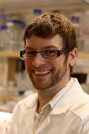 Balansen av byggstenar viktig för korrekt kopiering av DNA