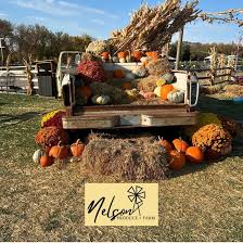 🎃 The Pumpkin Carving contest...