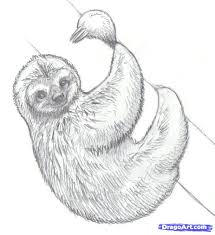 How To Draw Sloths Step By Step Forest Animals Animals Free Online Drawing Tutorial Added Giraffen Zeichnen Tiere Zeichnen Bleistiftzeichnung Inspiration