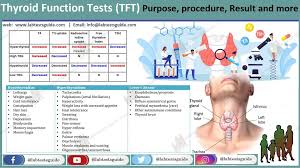Image result for Thyroid Function Test