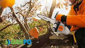 Muore poco dopo il ricovero in ospedale. Motosega Leggera Stihl Ms 151 Tc E In Esclusiva Da Garpo