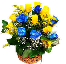Check spelling or type a new query. Basket Yellow And Blue Roses Iris Florist