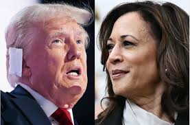 Lizzie Thynne (@lizzielero)