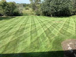 The best person to answer that question is you. Green Acres Lawn Care Linkedin