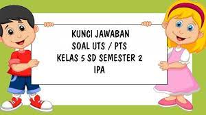 Soal uas 2 / ukk ipa kelas 5 plus kunci jawaban. Soal Uts Ipa Kelas 5 Sd Semester 2 Tahun 2021 Dan Kunci Jawaban Pilihan Ganda Essay Tribun Pontianak