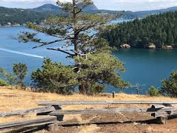 Map of campground | check out answers, plus see 534 reviews, articles, and 247 photos of washington park, ranked no.1 on tripadvisor among 74 attractions in fidalgo island. Blue Spot On Washington Park Loop Is Where Pictures Were Taken From An Altitude Of 200 Ft Picture Of Washington Park Fidalgo Island Tripadvisor