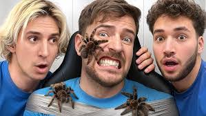 Alexandra Thayer's Instagram, Twitter & Facebook