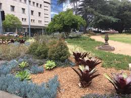 Another feature is the natural amphitheatre located on one of the bends of the river, named by governor philip as the crescent, which is used to stage concerts. Parramatta Park Picture Of Parramatta Park Tripadvisor