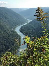 It's best known for the view from the main overlook by the visitors center, but there are beautiful trails to hike here, too. New River Gorge Bridge Provides Grand Views Ledger Independent Maysville Online