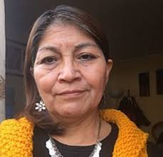 Elisa loncon sacó aplausos en la constituyente al referirse sobre las descalificaciones de teresa cita de libros: Elisa Loncon Antileo Convencional Mapuche Elegida Presidenta De La Convencion Constitucional Ovejeronoticias
