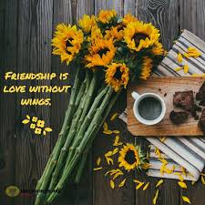 Friends best friends feedback friendship and love hugs criticism hurt friendship kjv scars friendship and trust rebuking fake friends hurting hurt and betrayal best friend bad relationships kissing evil kissing reproof wise councel good friends admonition, of christians bad counsel trustworthiness bad friends wounds affection, expressing. Freundebuch Spruche Fur Dein Freundschaftsbuch 2020