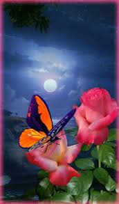 Content updated daily for stock gif images. Kalejdoskop Beautiful Gif Beautiful Fantasy Art Butterfly Art