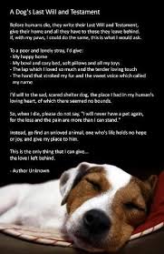 During the process of euthanasia, your vet will first give them a strong painkiller, followed by a gentle medication. Animals Quotes Funny Captions Dog Quotes Funny Dog Quotes Dogs Dying Quotes