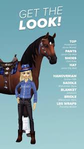 Pin By Galaxyrose On Star Stable Star Stable Star Stable Horses Funny Dog Memes