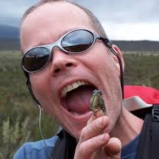 David Nickel (@nickel_david)