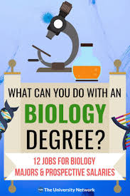 12 Jobs For Biology Majors The University Network Biology Major Biology Jobs Biology Degree