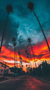 The top flagships of the year. Miami Iphone Wallpapers Top Free Miami Iphone Backgrounds Wallpaperaccess