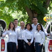 Alta sierra pest control offers fast, friendly and courteous pest control services. The 10 Best Bee Removal Services In Sacramento Ca 2021