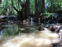 This nurse license is current. Piden Rapida Investigacion De Rio Contaminado En Durango El Siglo De Torreon