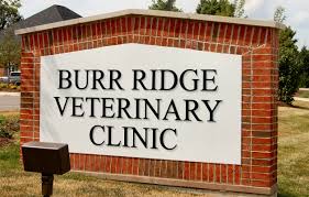 Maybe you would like to learn more about one of these? Burr Ridge Veterinary Clinic Burr Ridge Il Veterinary Clinic Clinic Veterinary