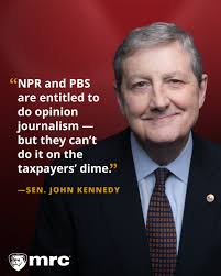 Sen. John Kennedy hit the nail