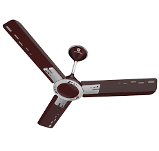 We did not find results for: Designer Ceiling Fans Standard Electricals
