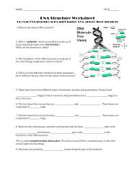 Each strand of dna acts as a template for synthesis of a new, complementary strand. Dna Structure Worksheet