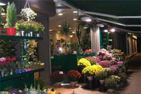 Romarie Fleurs Votre Fleuriste A Lyon 07eme Florajet