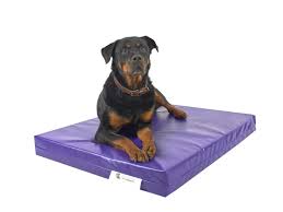 They come in a huge range of styles, colours and materials. Tough Chew Resistant Dog Bed Maximum Pet Products