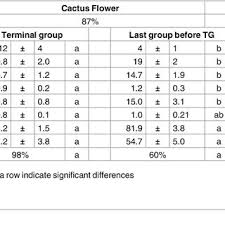 Cactus has a weak to nonexistent program of mentoring for new freelancers. Pdf How Nectar Feeding Bats Localize Their Food Echolocation Behavior Of Leptonycteris Yerbabuenae Approaching Cactus Flowers