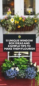 Flowers are usually the central feature of the window box for most gardeners, and if your home's façade is sunny, you can have a large range of blooming choices. 8 Tips To Make Your Window Box Flourish And 11 Ideas To Inspire You