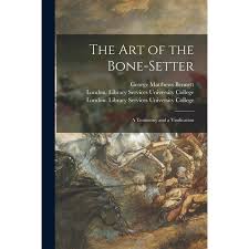 The Art of the Bone-setter [electronic Resource] (Paperback) - Walmart.com